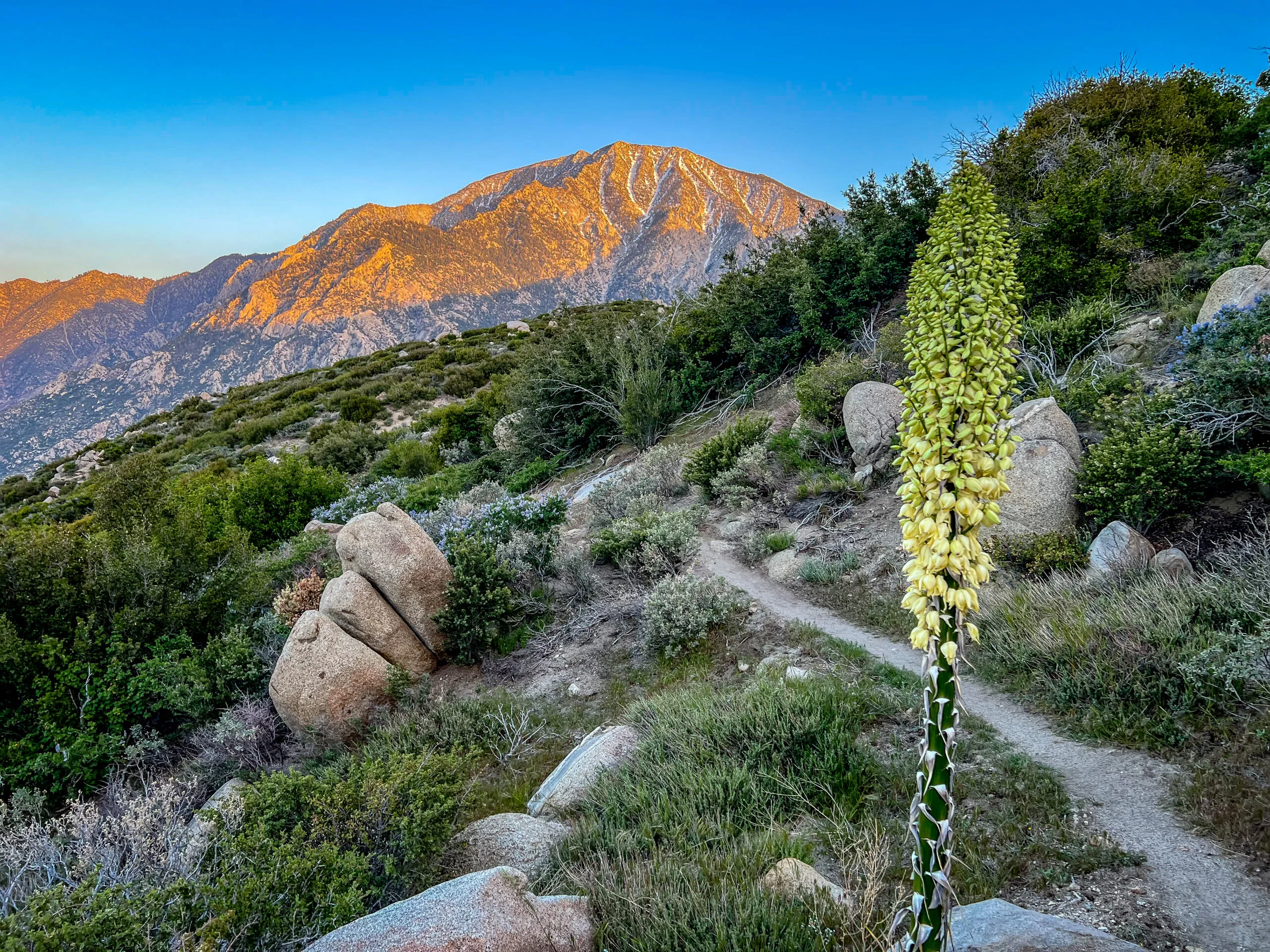Alpenglow on the granite face of San Jacinto Peak, California
