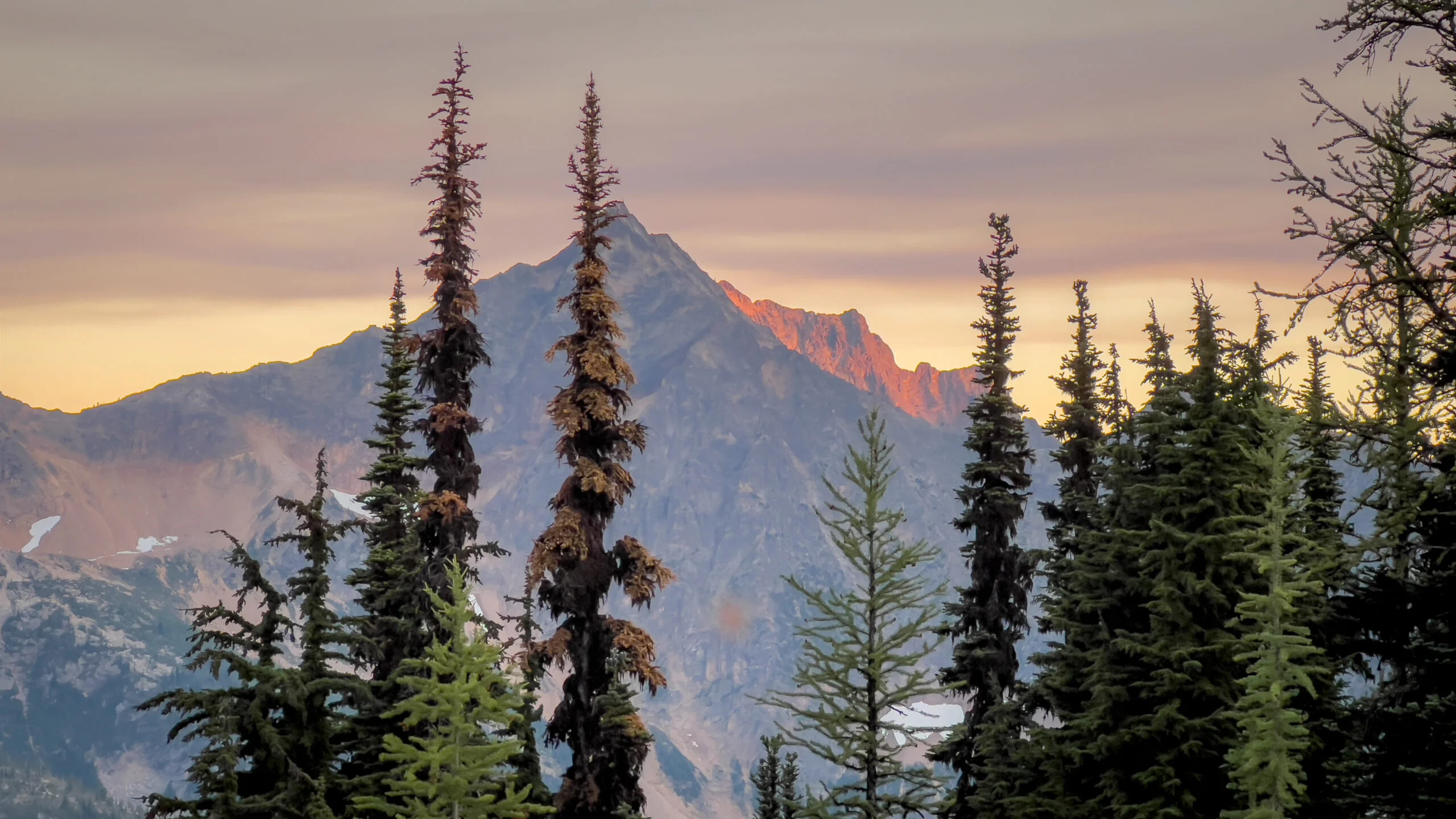 Alpenglow on the North Cascades at Cutthroat Pass, Pacific Crest Trail, Washington