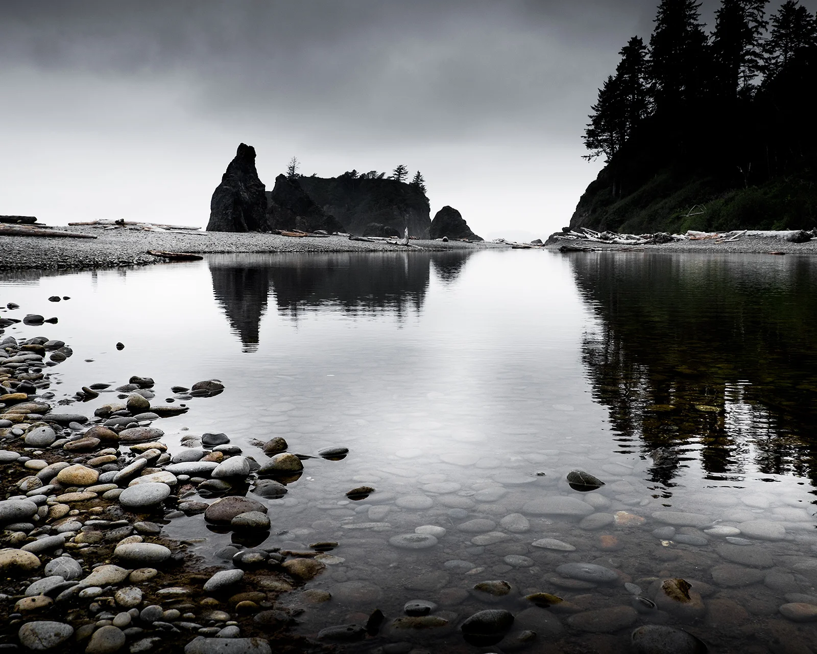 Sea stacks and conifers at twilight, Ruby Beach, Olympic Peninsula, Washington
