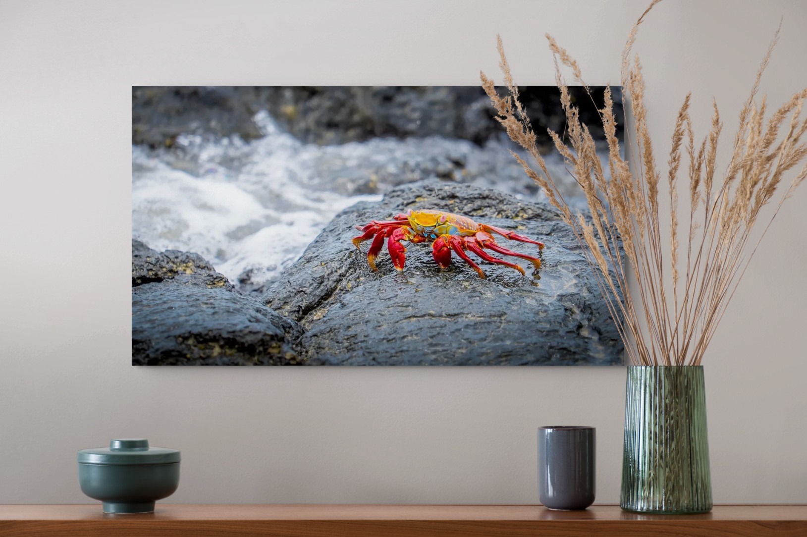 Sally Lightfoot, Galápagos fine art print displayed on a wall
