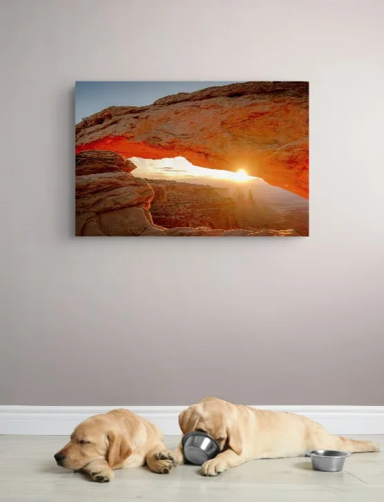 Mesa Arch sunset print in a living room